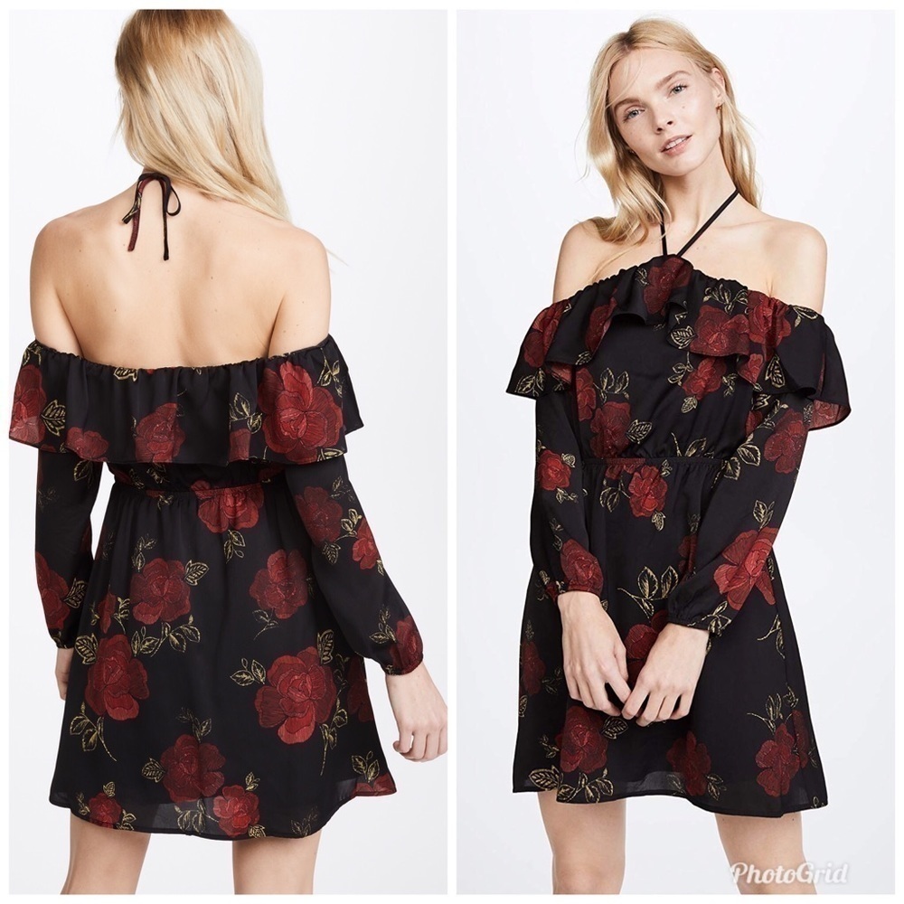Cupcakes & Cashmere Boden Ruffle Dress Rose Print